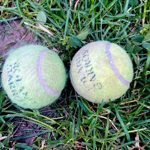 Two tennis balls